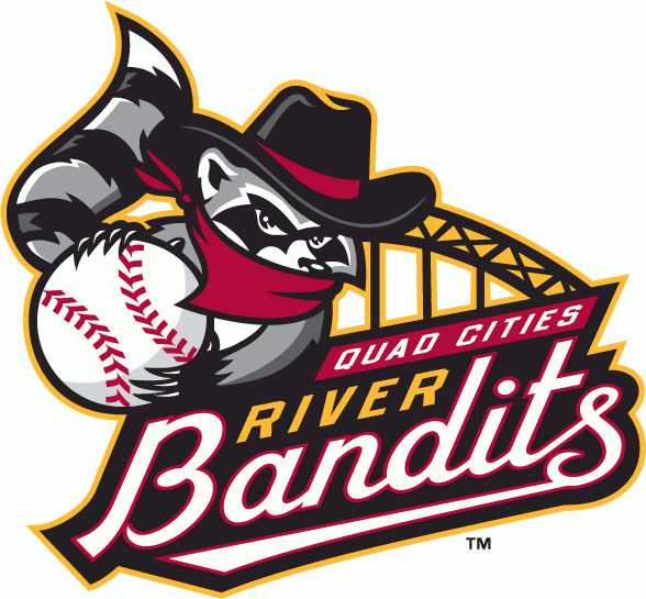 Quad Cities River Bandits 2008-pres primary logo iron on heat transfer